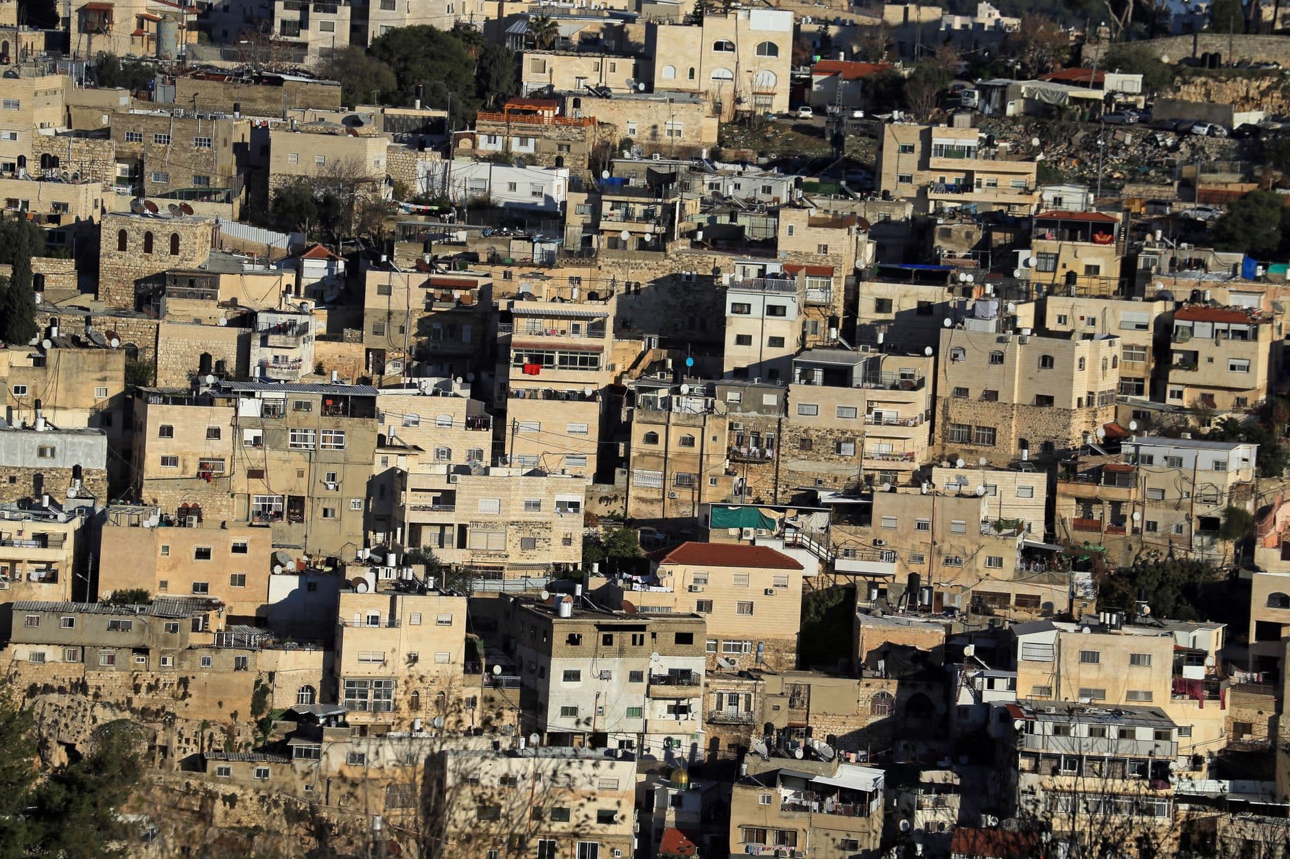 יהודים אמריקאים בורחים לנדל״ן בישראל
